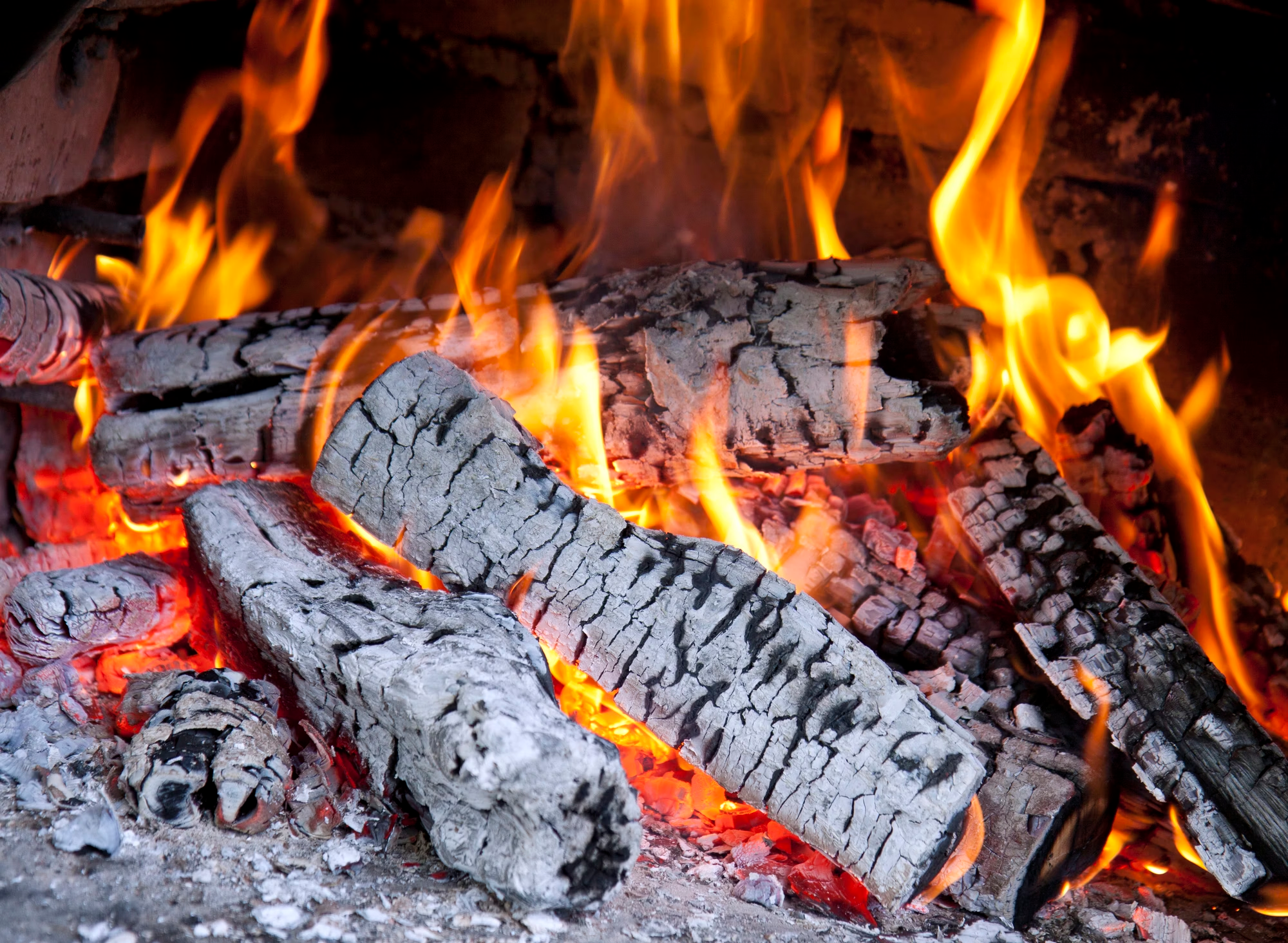 Bischofberger Holz Birke – Trockenes Brennholz, 33 cm (Palette 430 kg) – Schweizer Herkunft